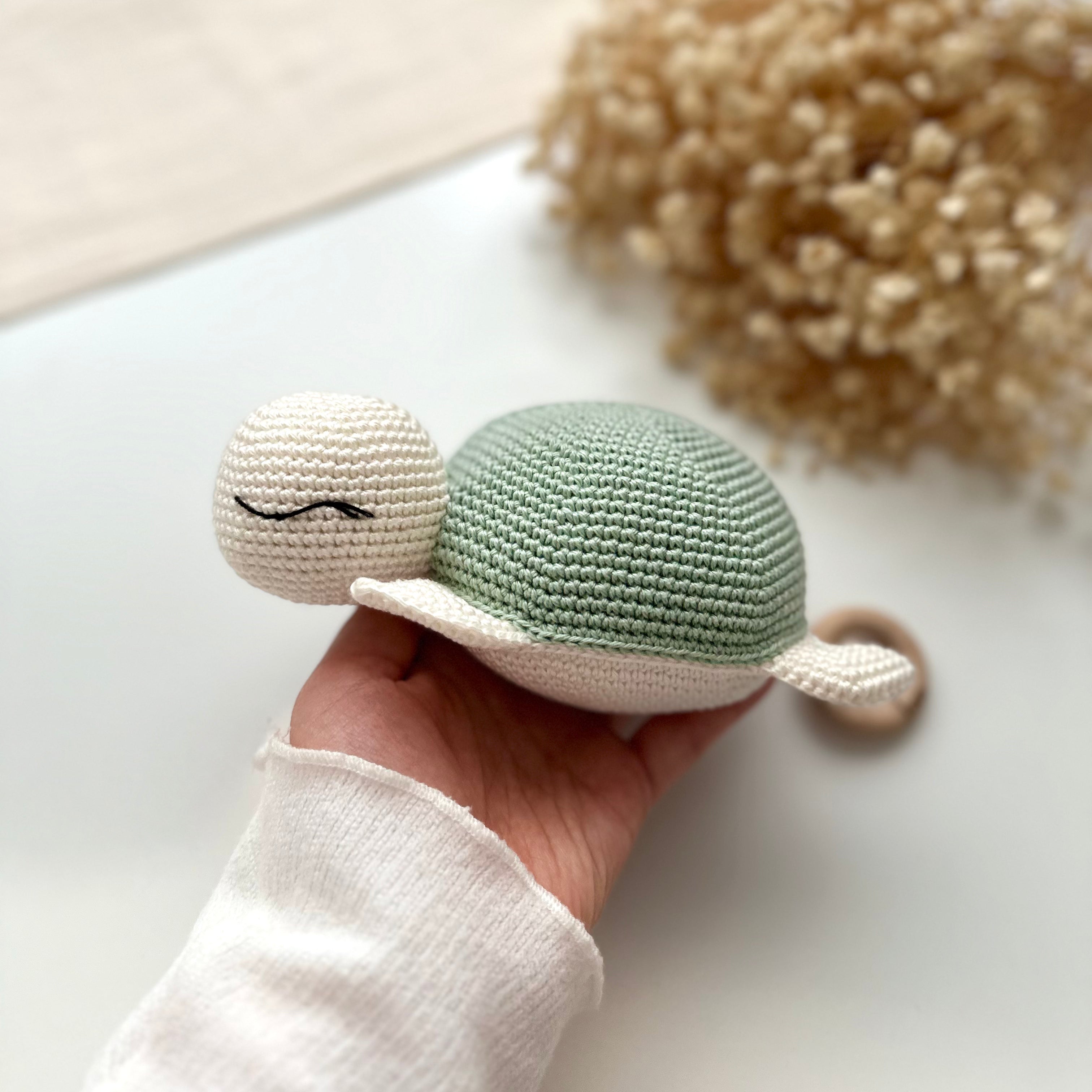 Schildkröte | Geschenkbox