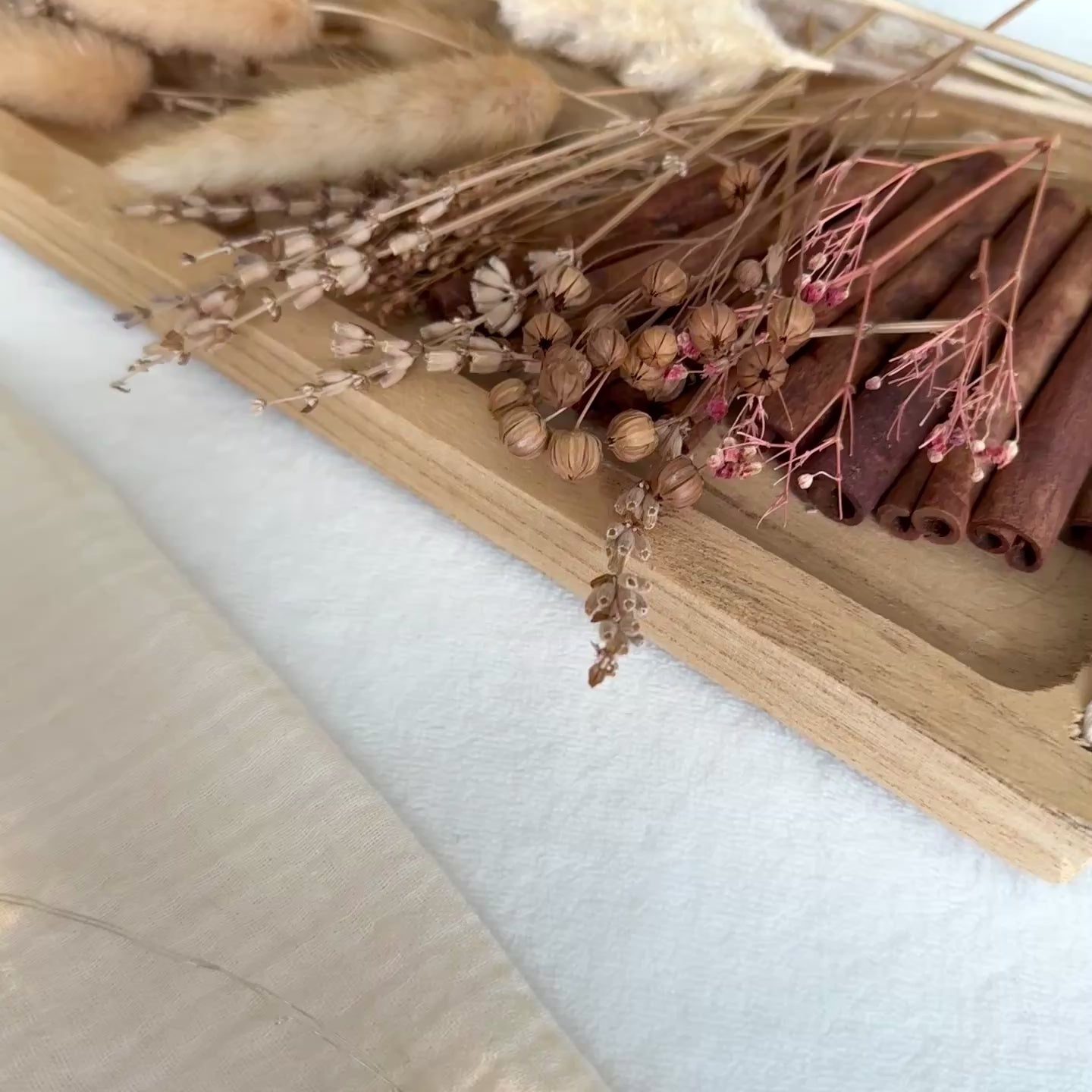 Löwe | Spieluhr